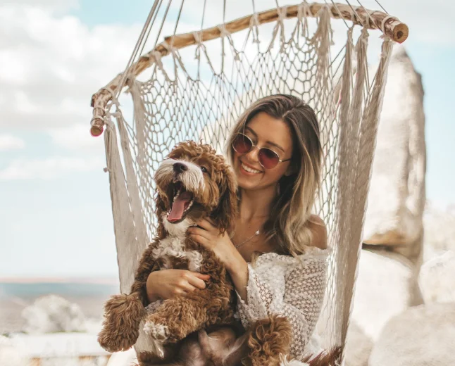 Our furry friends and faithful companions